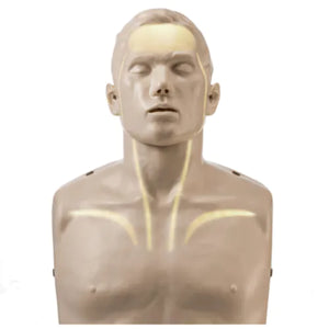 Brayden Reanimationsmodell mit weißen LEDs