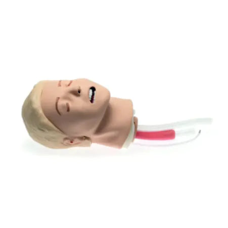 Laerdal Resusci Anne Airwaytrainer upgradekit
